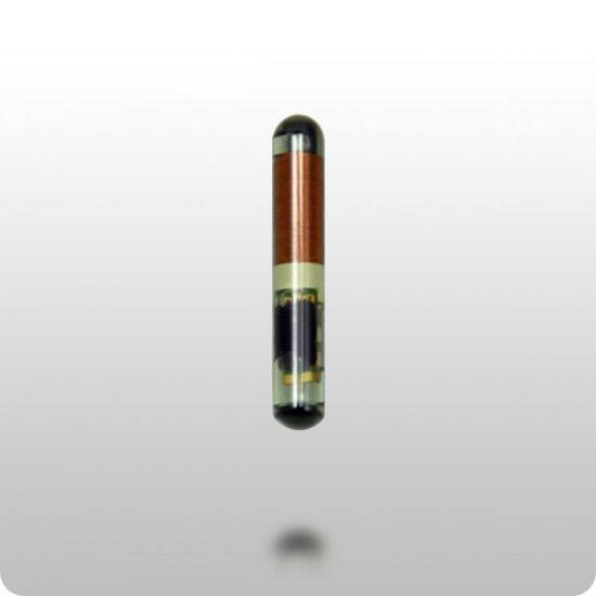 Tex 4C Glass Transponder Chip