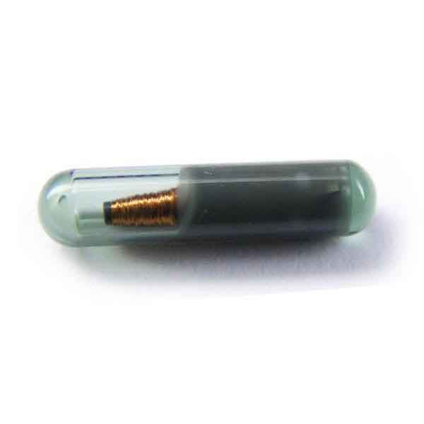 Virgin Megamos 48 Transponder Chip