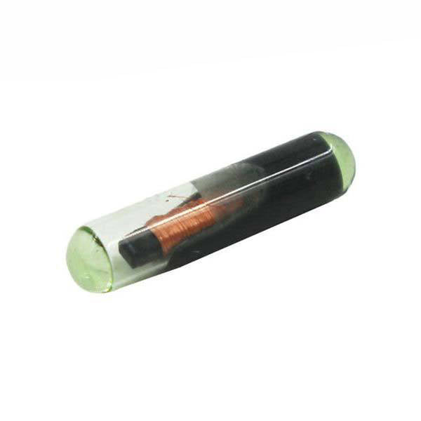 CN6 Clonable Transponder Chips for Cloning 48 Chips (CHIP-CN6)