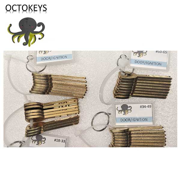 OCTOKEYS - GM 10 Cut Laser Key Try Out Key System