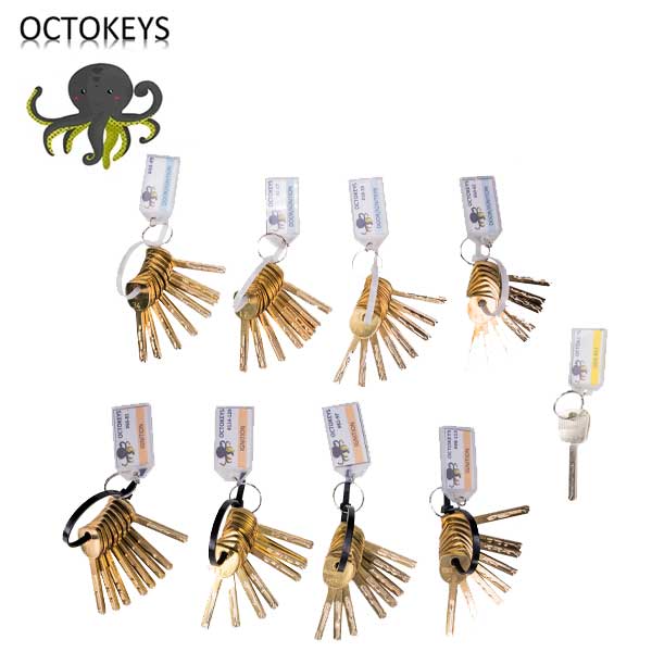 OCTOKEYS - GM 10 Cut Laser Key Try Out Key System