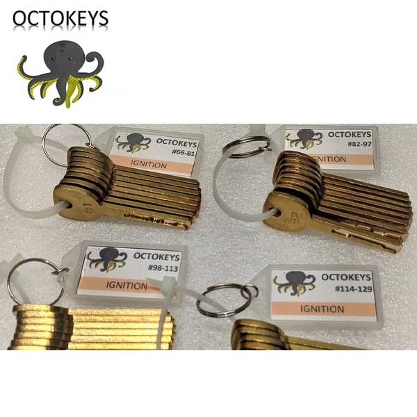 OCTOKEYS - GM 10 Cut Laser Key Try Out Key System